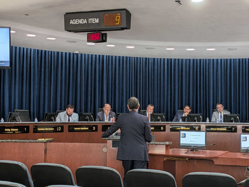 A man standing at a podium addresses the council at the dais.