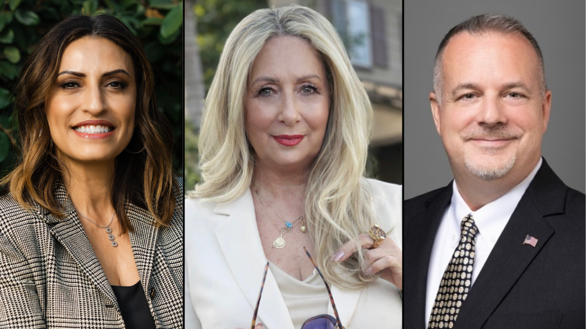 Noemi Hernandez Alexander outraises Area 1 Trustee opponents